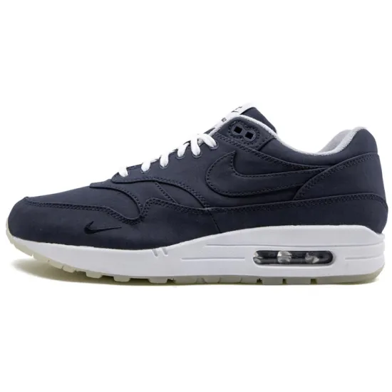 Nike Air Max 1 Dover Street Market Ventile Brave Blue