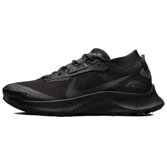 Nike Pegasus Trail 3 Gore-Tex Black Dark Smoke Grey Women's