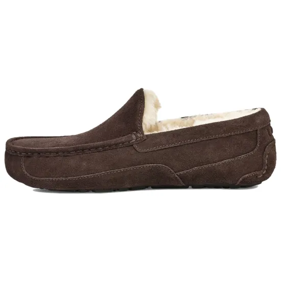 UGG Ascot Slipper Espresso