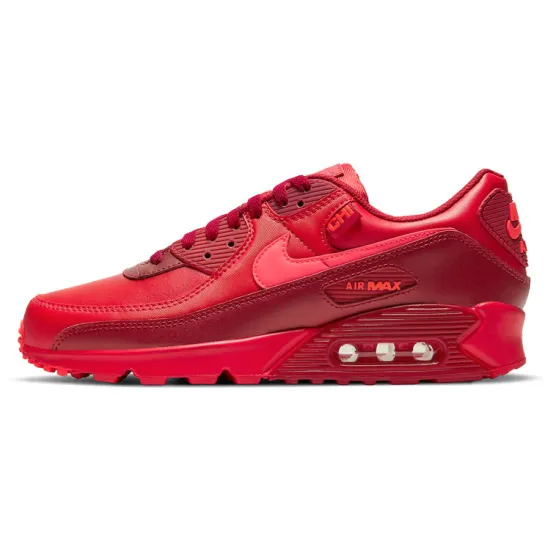 Nike Air Max 90 City Special Chicago