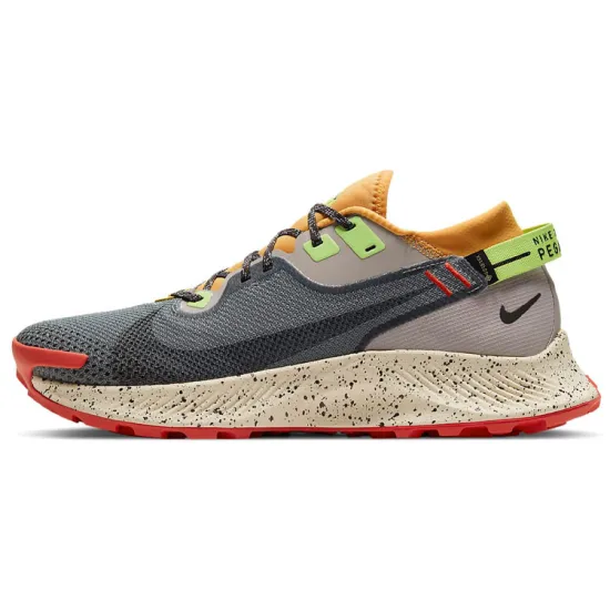 Nike Pegasus Trail 2 Gore-Tex Smoke Grey Bucktan