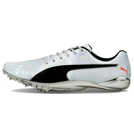 PUMA EvoSPEED Electric 10 Running Shoes Unisex Low-top Grey/Black