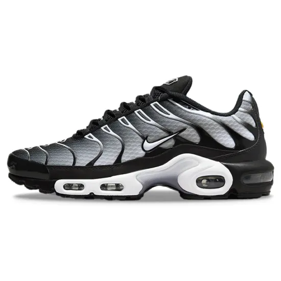 Nike Air Max Plus Black Silver White