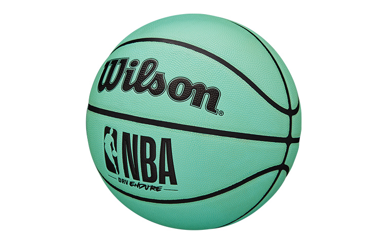 Wilson NBA Series Pu Basketball Green Size 7 Ball Training Unisex