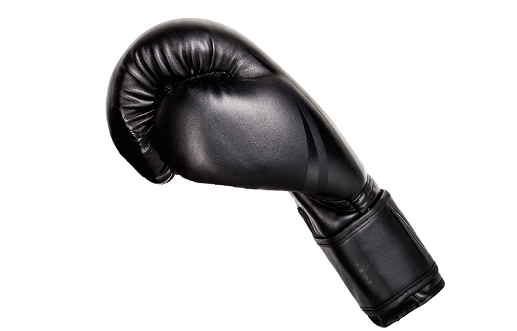 VENUM Boxing Gloves