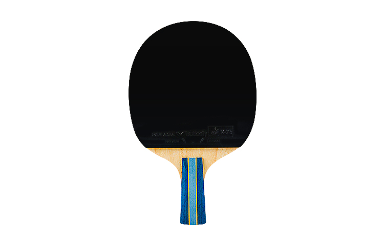 Butterfly 5 Collection Ping Pong Paddles