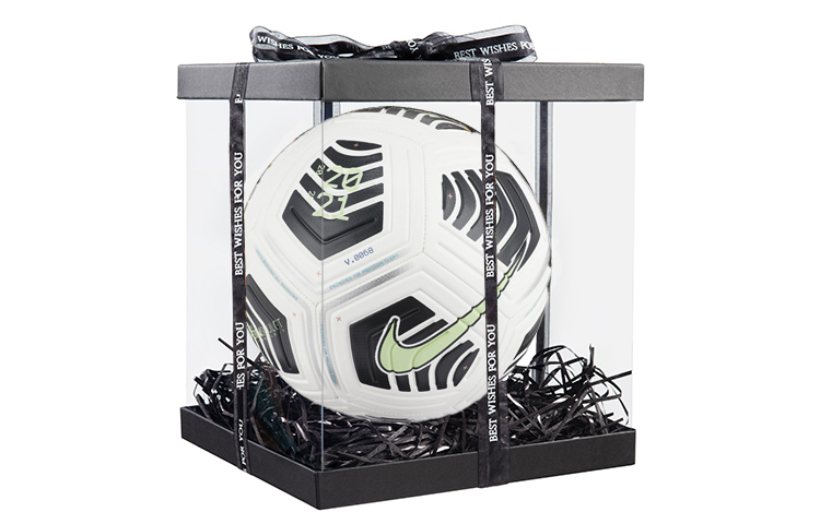 Nike Soccer Ball