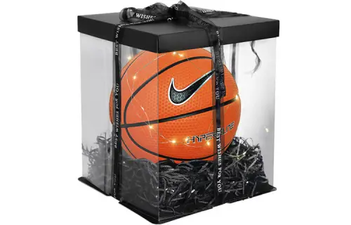 Nike Rubber basketball, wear-resistant and non-slip, brown, No. 7 training