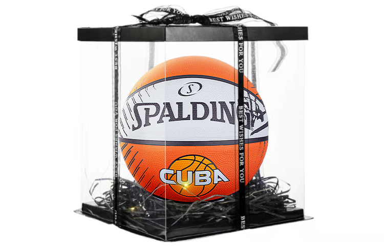 Баскетбольные мячи Spalding