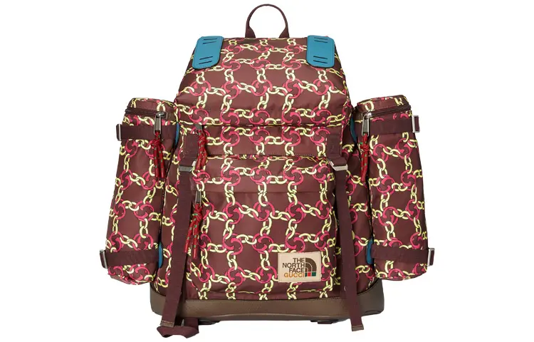 THE NORTH FACE X GUCCI Backpacks