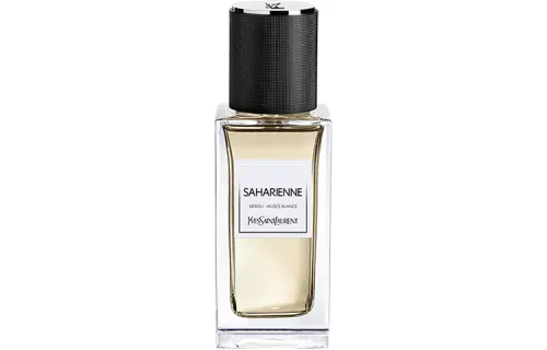 SAINT LAURENT Premium Wardrobe Hunt