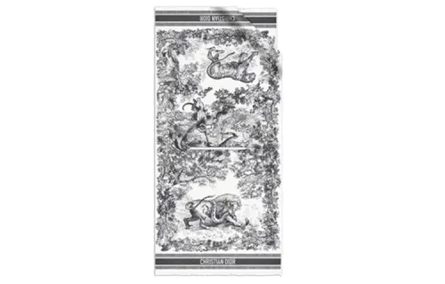 DIOR Scarves Women's