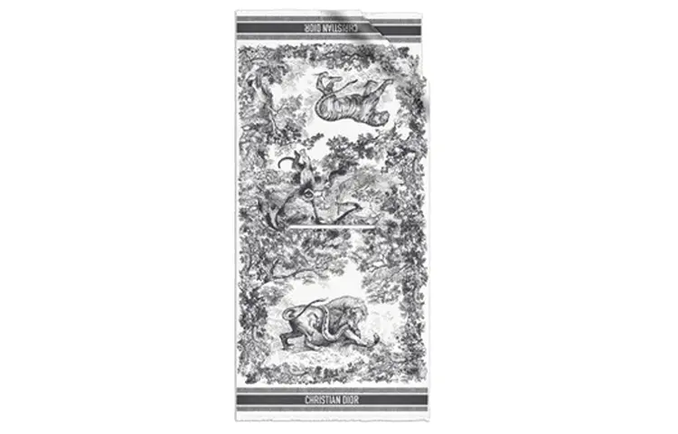 DIOR Scarves Women's
