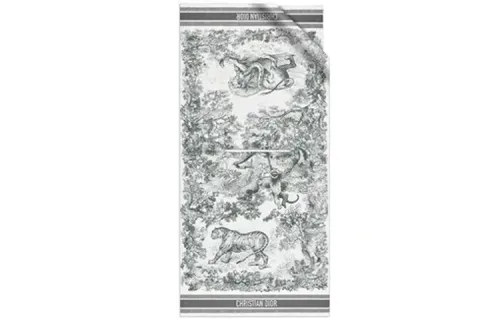 DIOR Scarves Women's