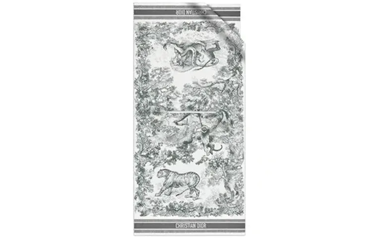 DIOR Scarves Women's