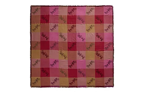 COACH Knit Scarves Women's