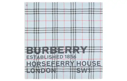 Burberry Knit Scarves Unisex Light Blue