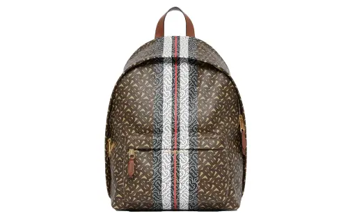 Burberry Polyamide Backpack Regular Men's Brown
