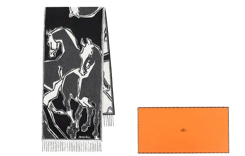 HERMES Knit Scarves Men's