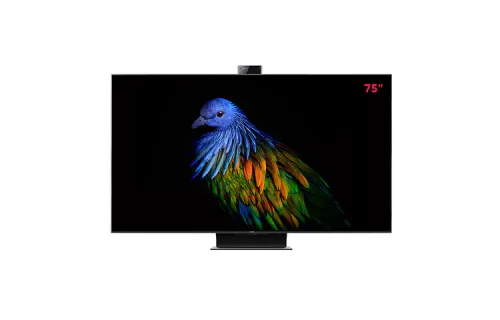 Xiaomi Mi 6 Extreme Edition 75-inch flat-panel TV 4.5G+64G 4K QLED 100-level partition backlight far-field voice game star screen sharp shadow L75M7-Z1