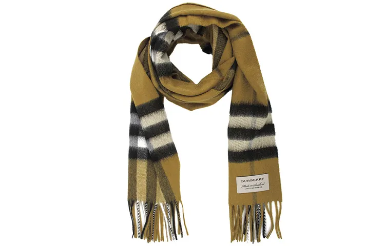 Burberry Knit Scarves Women's