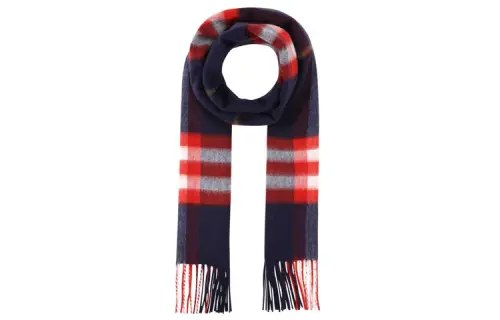 Burberry Knit Scarves Unisex Multicolor