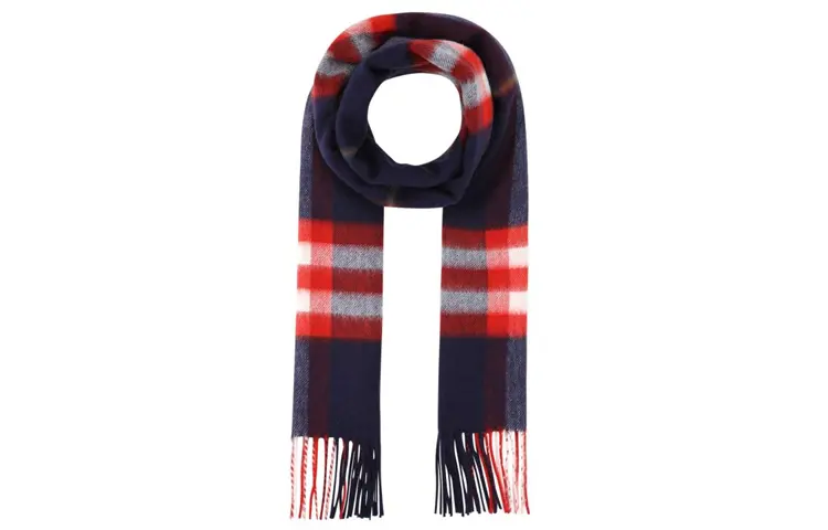 Burberry Knit Scarves Unisex Multicolor