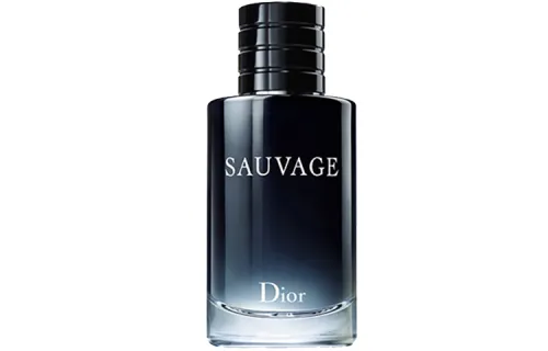 DIOR Wilderness Light