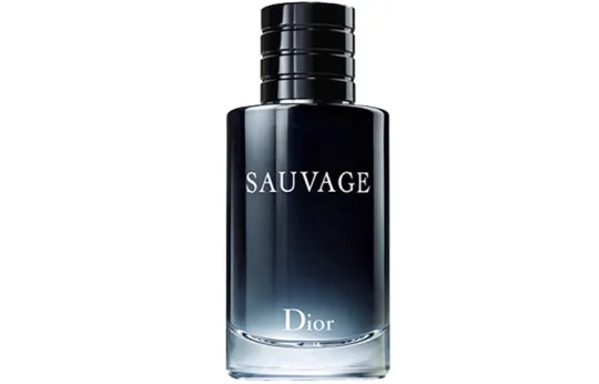 DIOR Wilderness Light Fragrance Edition Men's Perfumes Woody Fougere Eau De Toilette