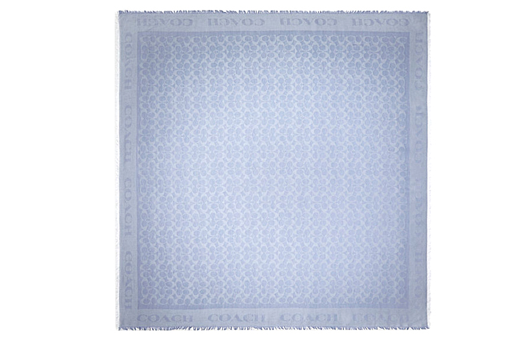 COACH Knit Scarves Women's