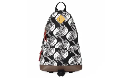 THE NORTH FACE X GUCCI Backpacks