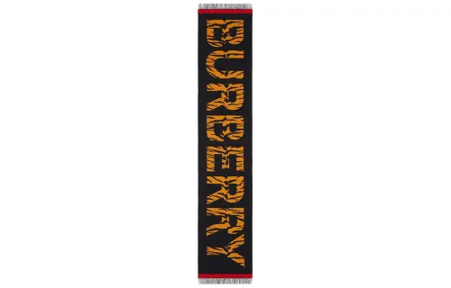 Burberry Knit Scarves Unisex
