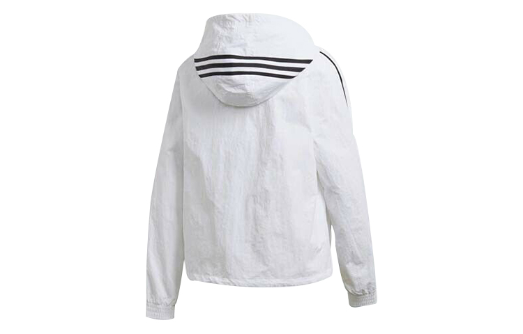 Куртка adidas originals WINDBREAKER (многоцветный) — фото 2