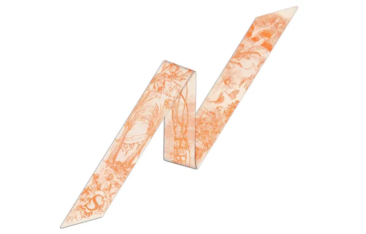 DIOR Scarves Women's Pink