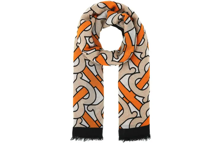 Burberry Knit Scarves Unisex Multicolor