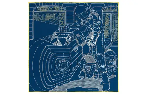 HERMES Scarves Men's