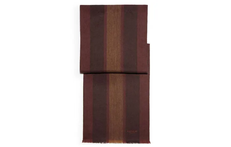 COACH Knit Scarves Women's