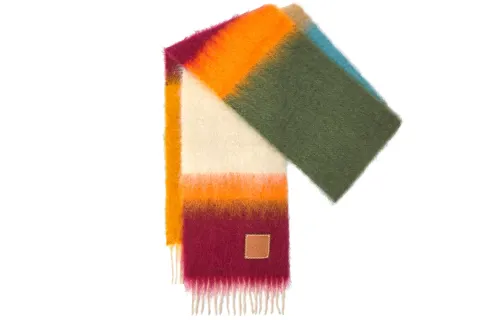 LOEWE Knit Scarves Women's