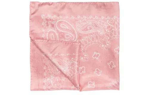 Golden Goose Paisley Printed Scarf