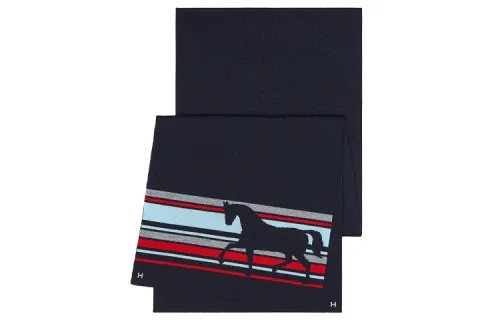 HERMES Knit Scarves Men's Dark Blue/Red