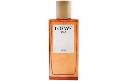 LOEWE Solo Declaration Unique Map Collection