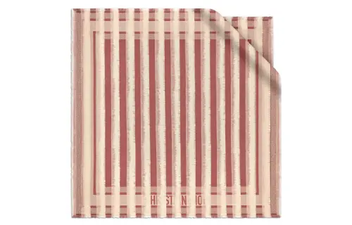 DIOR Scarves Women's Pink