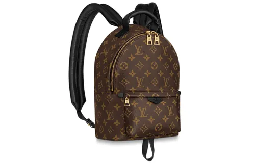 LOUIS VUITTON Palm Springs Monogram Updated Zipper Pm