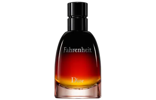 DIOR Fahrenheit Light