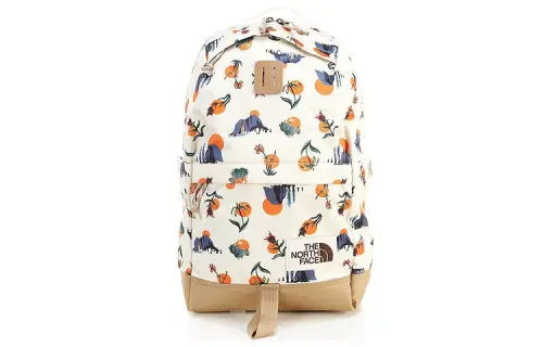 THE NORTH FACE 22L Backpacks Polyester White Unisex