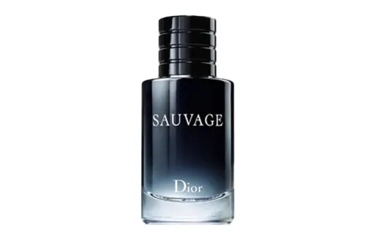 DIOR Wild Men's Perfume Sample Set, Fougere Eau De Toilette 10ml Birthday Gift For Girlfriend
