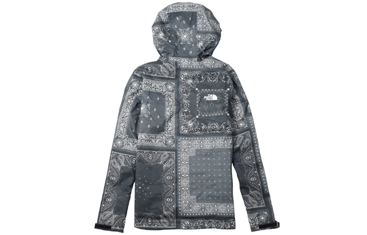 Мужская куртка The North Face SS20 (темно-синяя) — фото 2