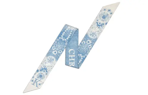 DIOR Scarves Women's Blue