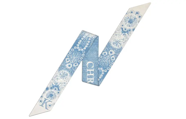 DIOR Scarves Women's Blue