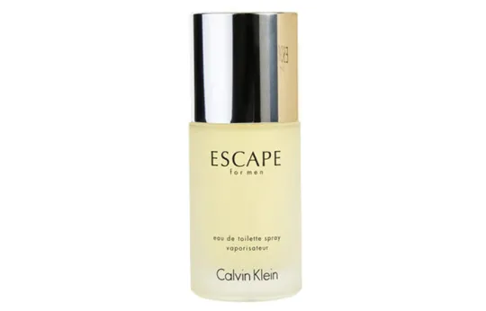 CALVIN KLEIN Evade Men's Eau Perfume Woody Floral Fruity Mixed Eau De Toilette 50ml/100ml